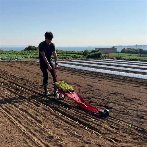 Operator using a Paperpot transplanter in prepared open-field rows.